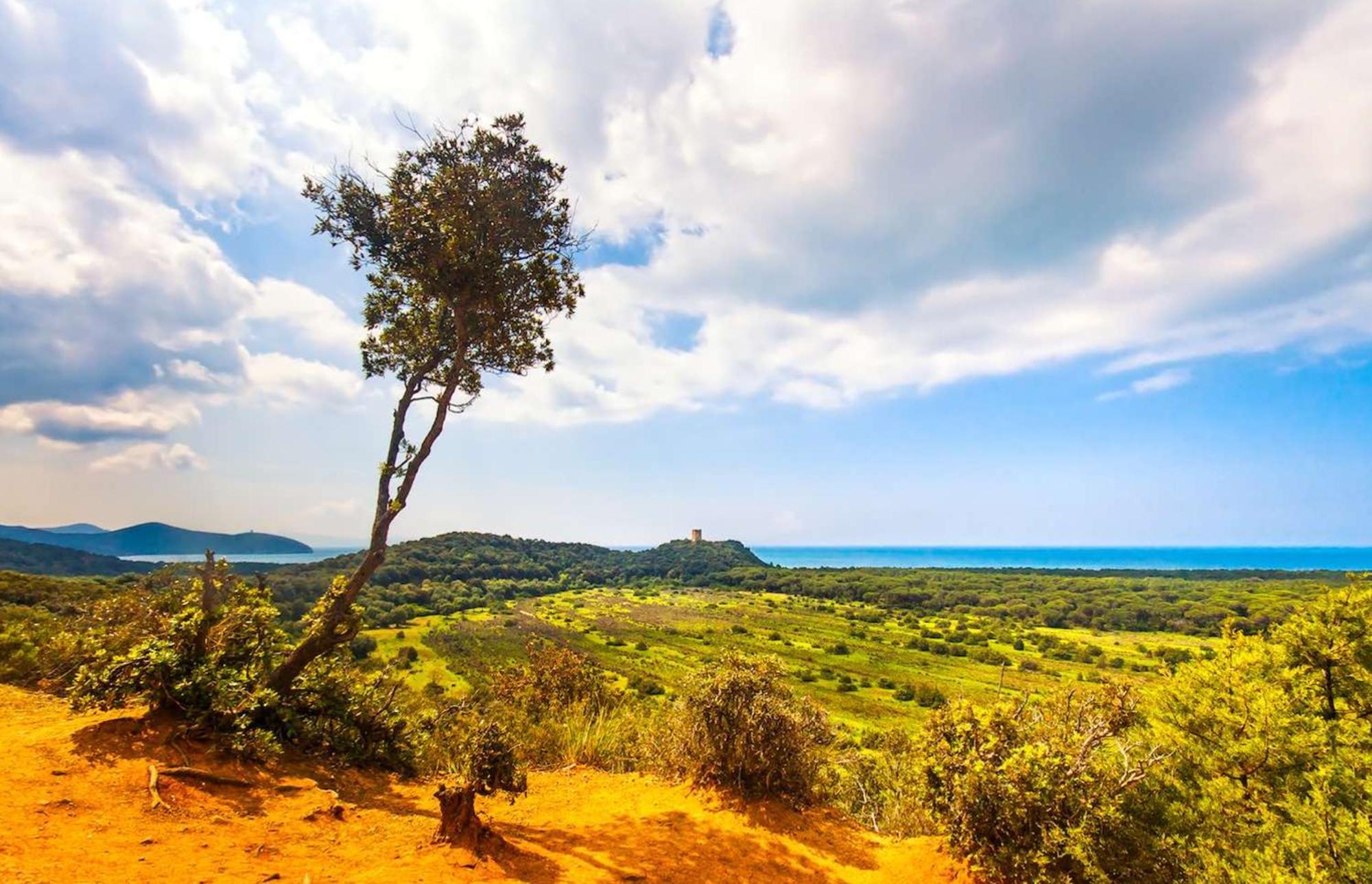 Agriturismo Capricorni Massa Marittima Eksteriør bilde